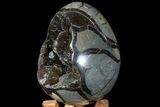 Septarian Dragon Egg Geode - Black Crystals #78547-3